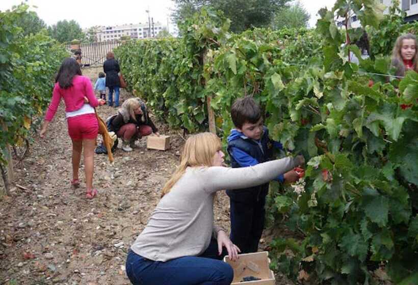 Отель Boutique Real Casona De Las Amas