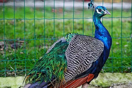 酒店 Quinta Da Torre