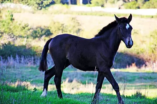 酒店 Quinta Da Torre