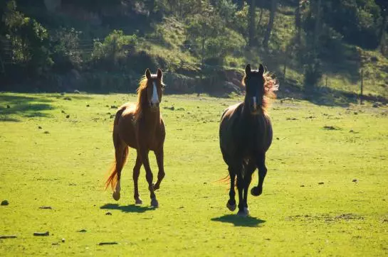 酒店 Quinta Da Torre