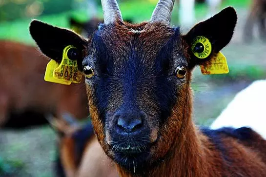 酒店 Quinta Da Torre