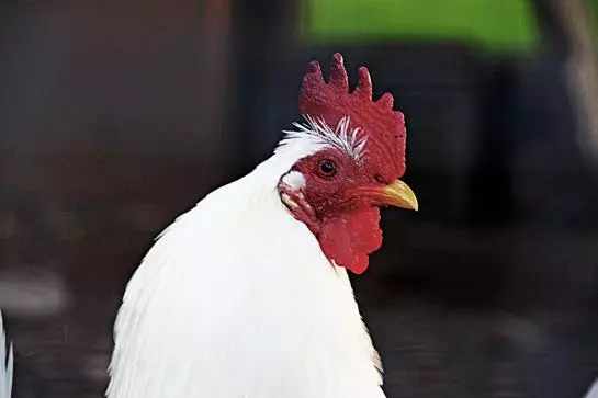 酒店 Quinta Da Torre