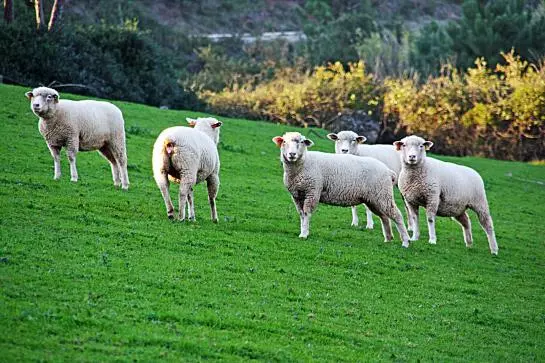 酒店 Quinta Da Torre