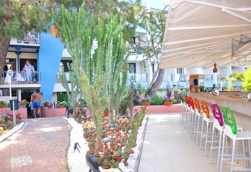 Club Hotel Rama   All Inclusive