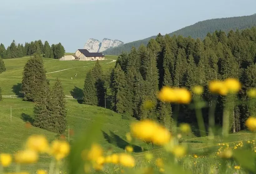 ホテル Alpine Smart Residence