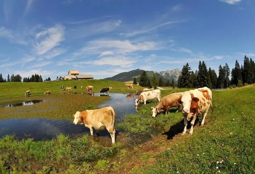 ホテル Alpine Smart Residence