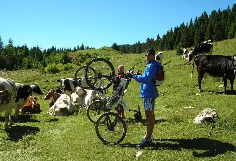 ホテル Alpine Smart Residence