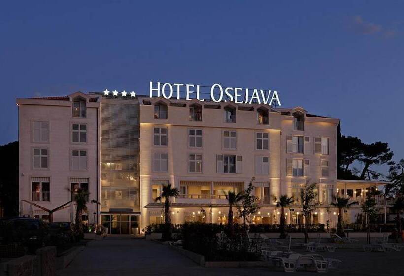 فندق Apartel Park Osejava