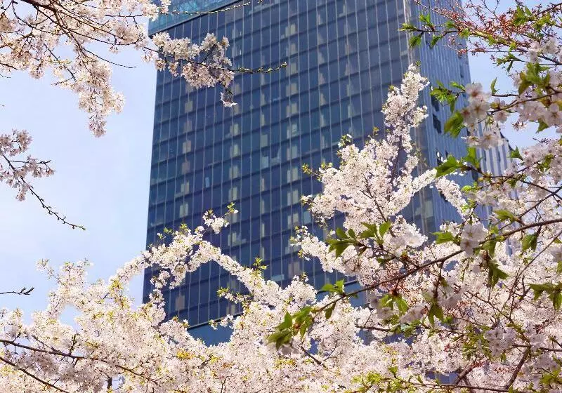Sofitel Ambassador Seoul Hotel & Serviced Residences