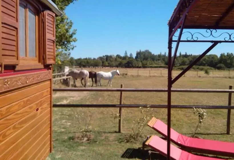 Aamiaismajoitus (B&B) La Nanou Che