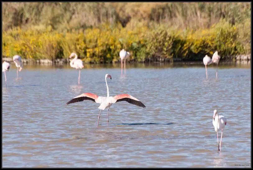 Aamiaismajoitus (B&B) La Nanou Che