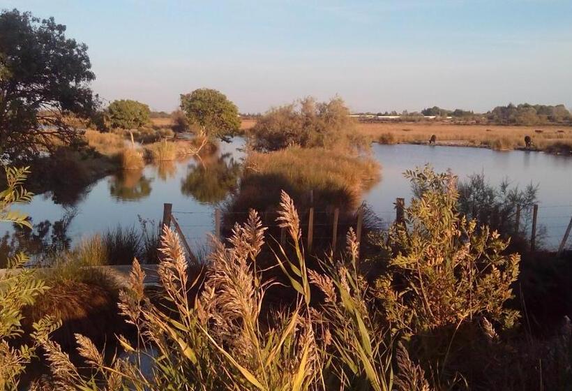 Bed and Breakfast La Nanou Che