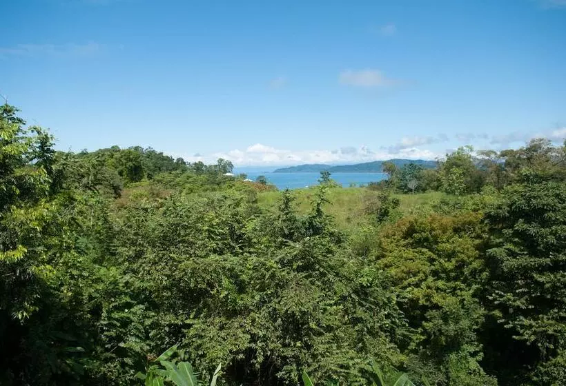 Hotelli Drake Bay Greenleaf