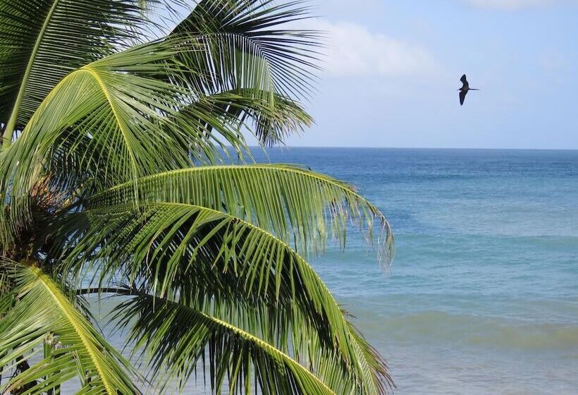 Szálloda Las Mañanitas Capurgana