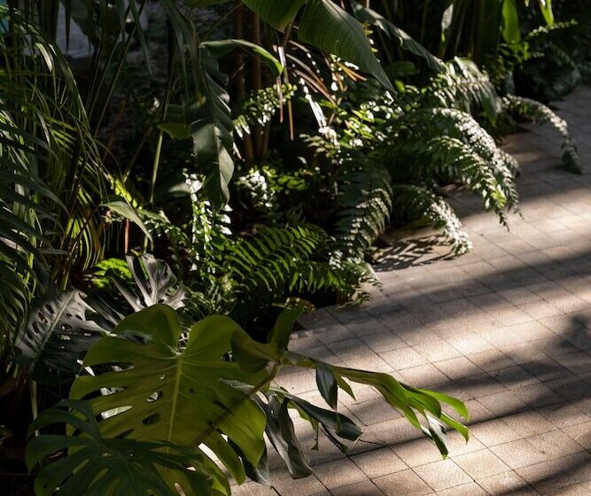 Künük Hotel Boutique