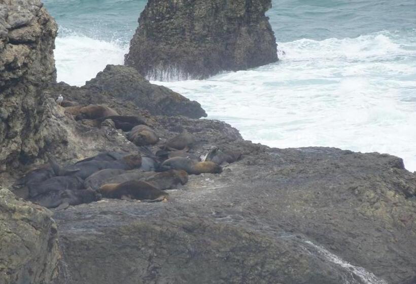 住宿加早餐  Posada Estrella