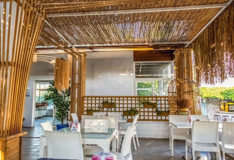 בית מלון כפרי Costa Bodrum City