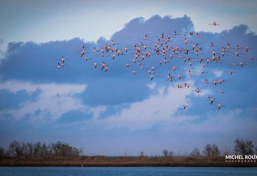 호텔 Hôtel A Casa Di Maria Cicilia