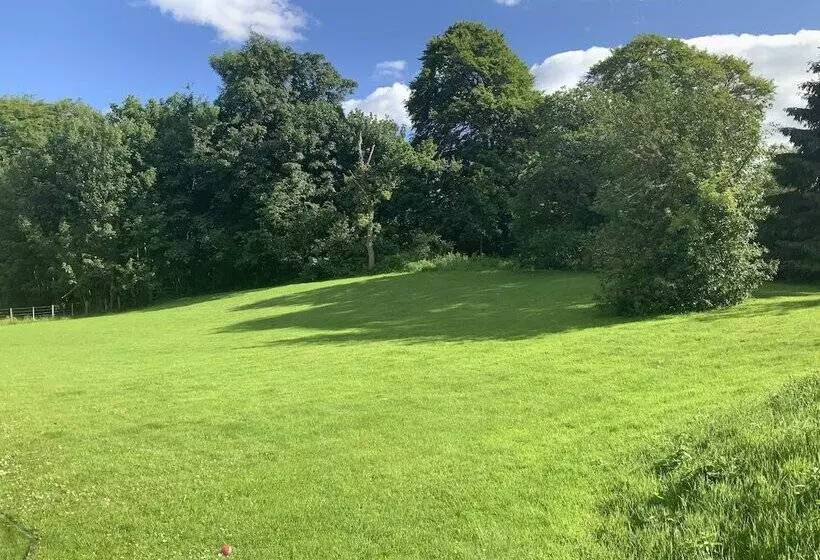 Hotelli Antfield House