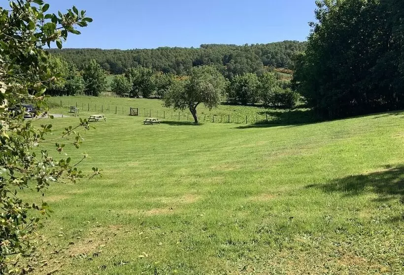 Hotelli Antfield House