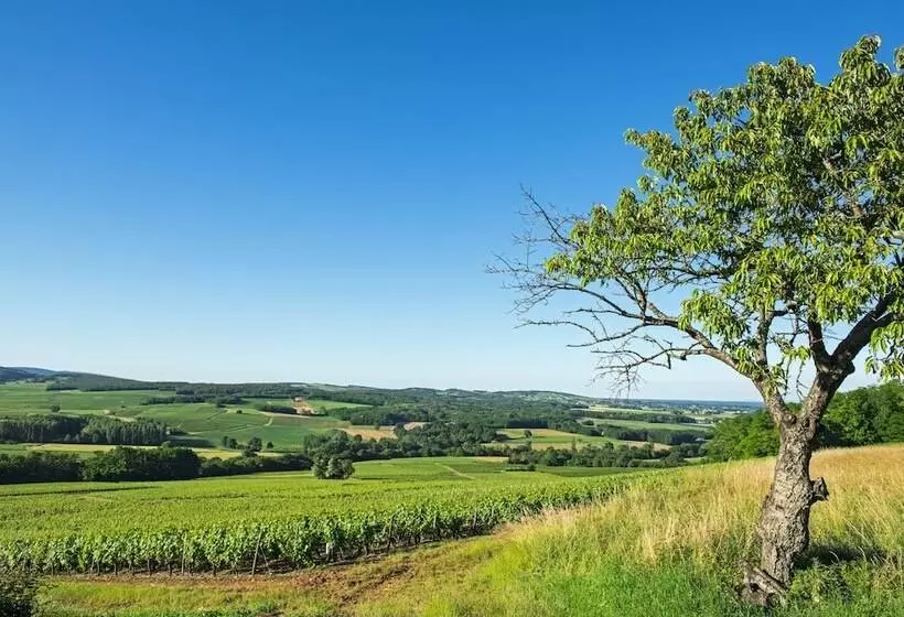 ホテル Frédéric Carrion Hôtel Et Spa