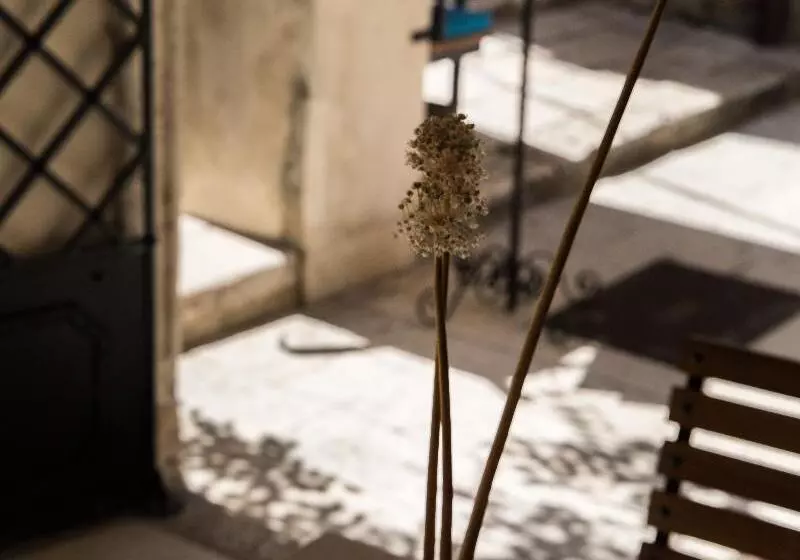 هتل Slavija Culture Heritage