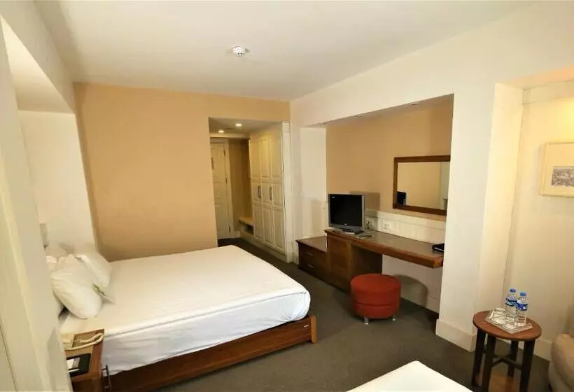 هتل Dedeman Palandoken Ski Lodge