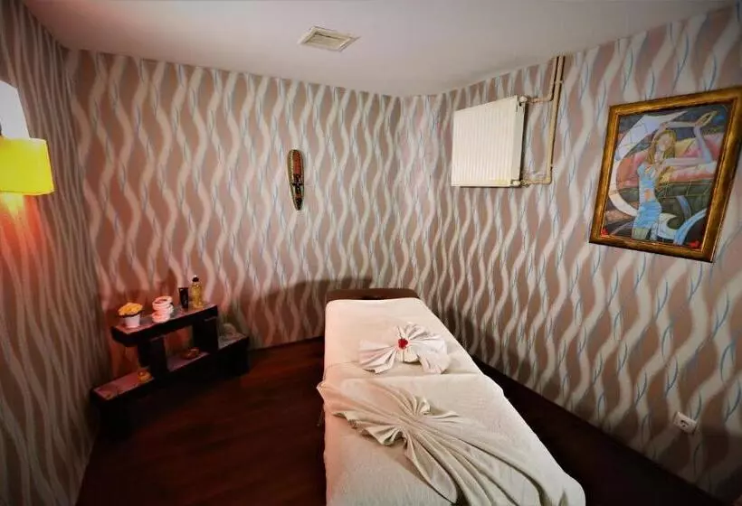 هتل Dedeman Palandoken Ski Lodge