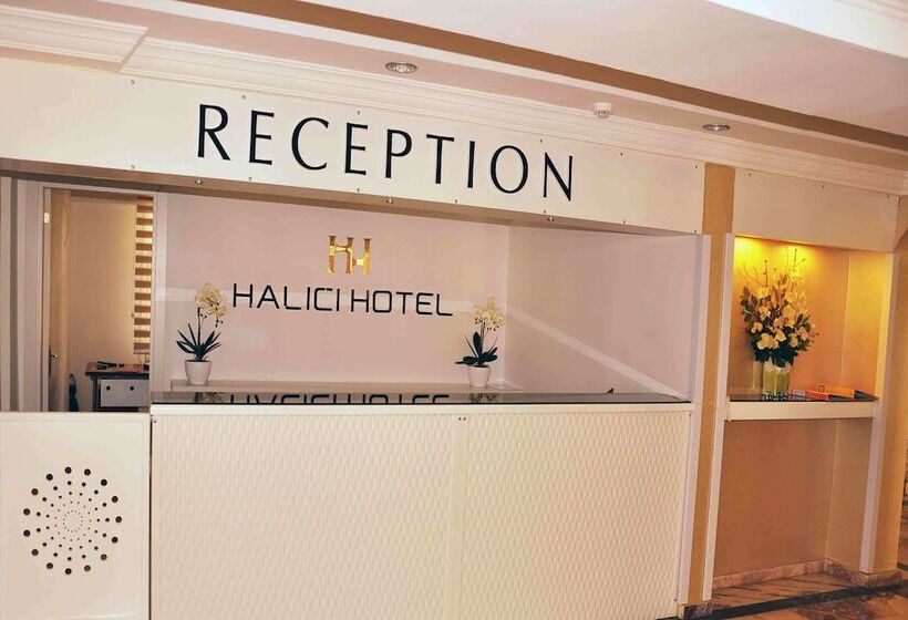 فندق Halici