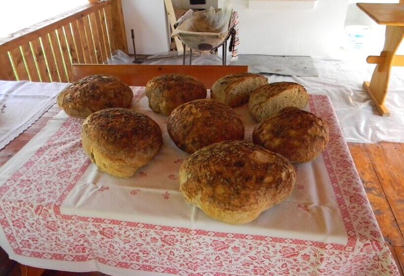 پانسیون Casa Kiraly Vendeghaz