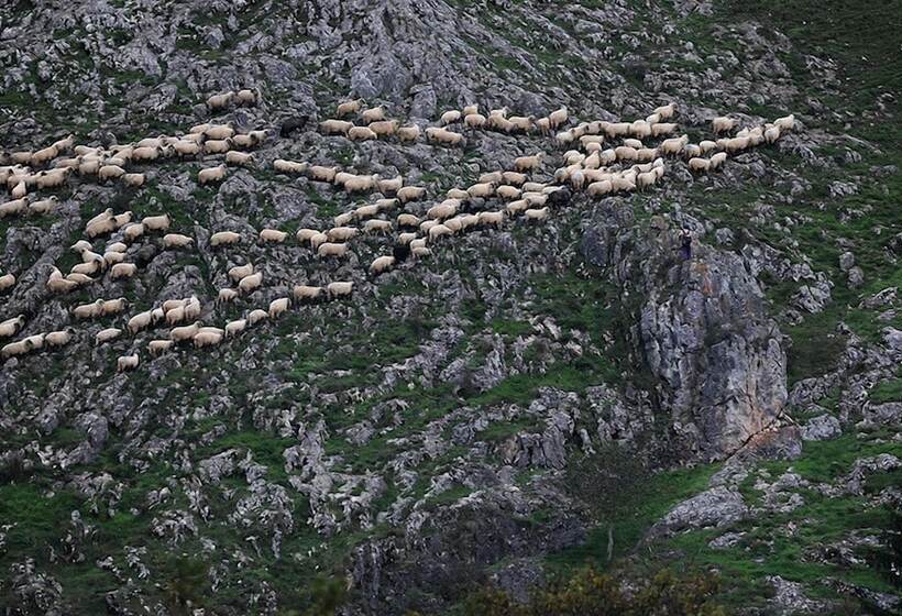 پانسیون Casa Kiraly Vendeghaz