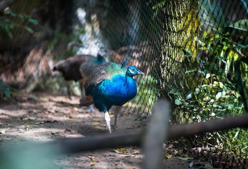 پانسیون Domaine Desaubin Luxury Villas