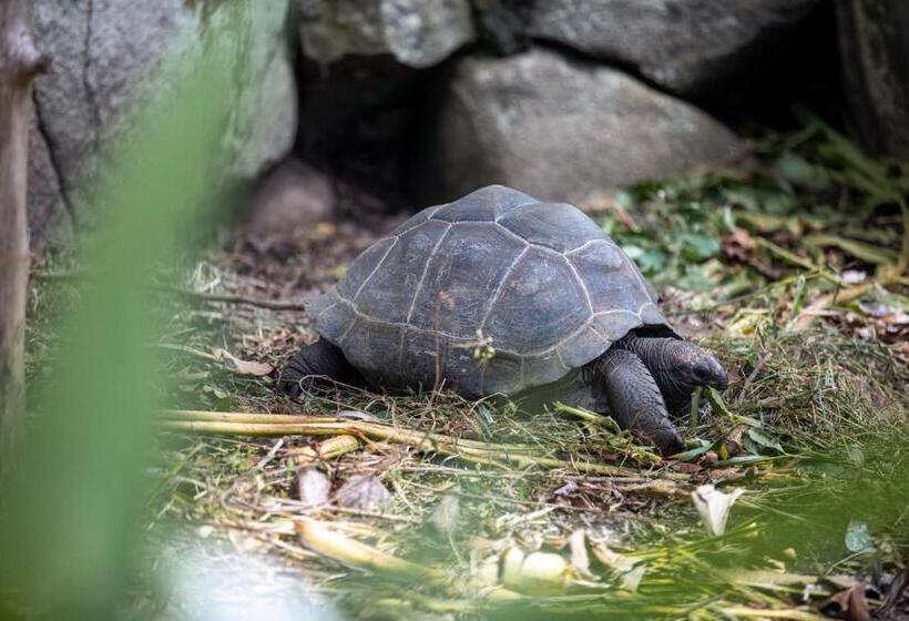 پانسیون Domaine Desaubin Luxury Villas