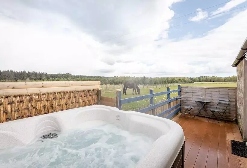 Hotelli Redlands Country Lodge Log Cabin Apartments & Weebothy