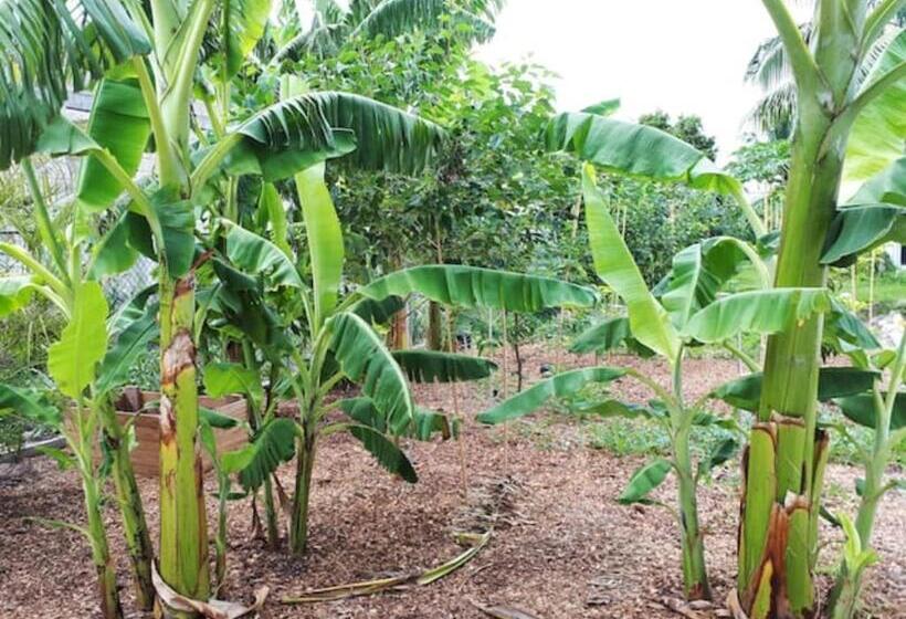 پانسیون Secluded And Modern Beachfront House