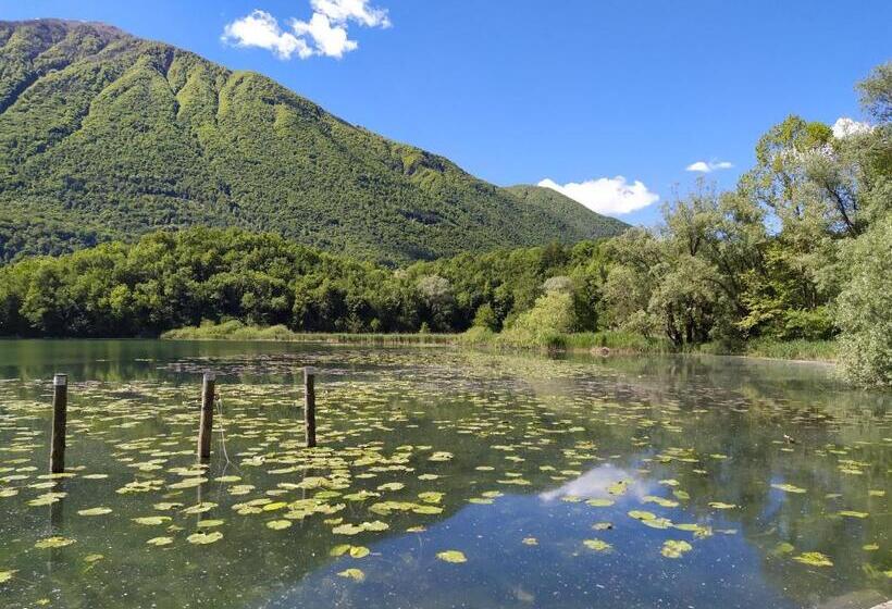 ベッドアンドブレックファースト Peonia