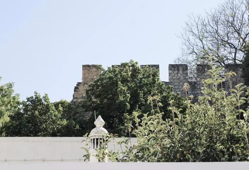 Aamiaismajoitus (B&B) A Muralha