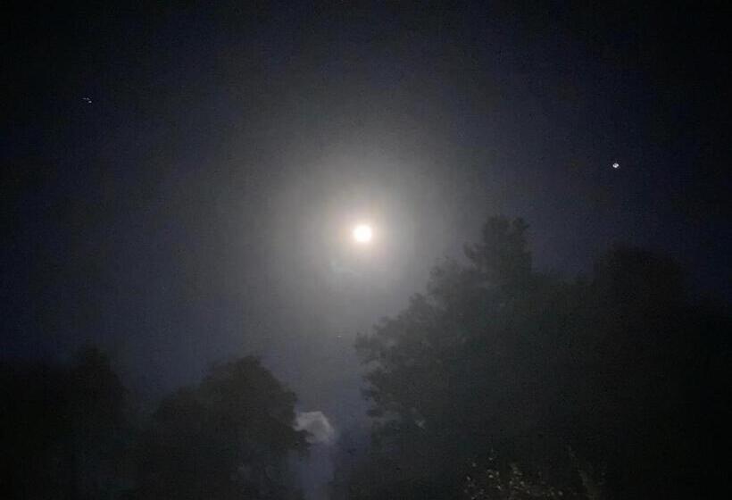 Hotel Glenorchy Lodge Rooms Only