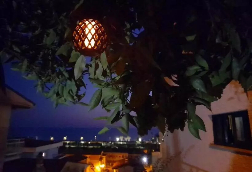 Le Zagare B&b