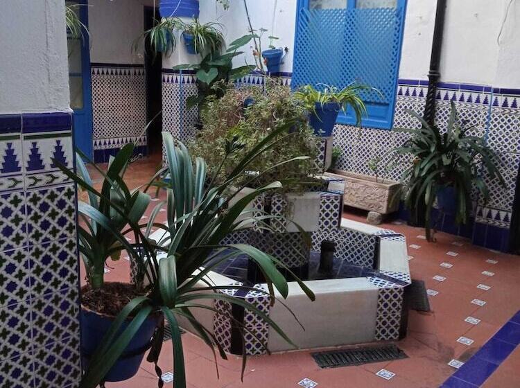 پانسیون The Dreamers & Co