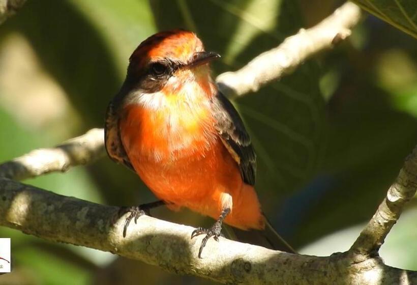 Eco Hotel La Jicarita