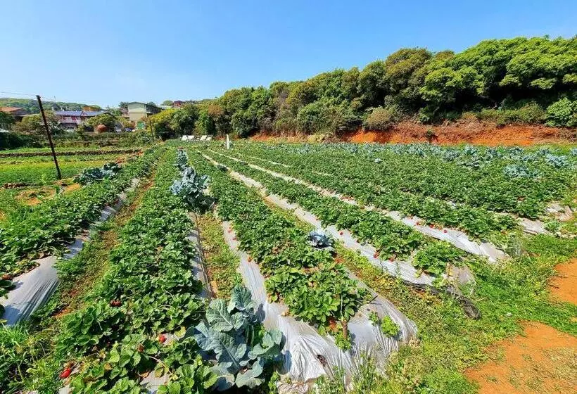 Hotelli Dv Inns Farmvilla   Besides Strawberry Farms