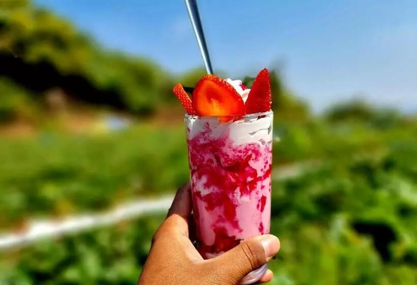 Hotelli Dv Inns Farmvilla   Besides Strawberry Farms