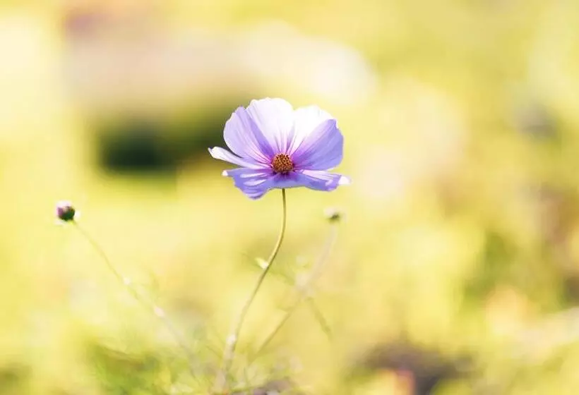 ペンション Brändö Bike And Bed