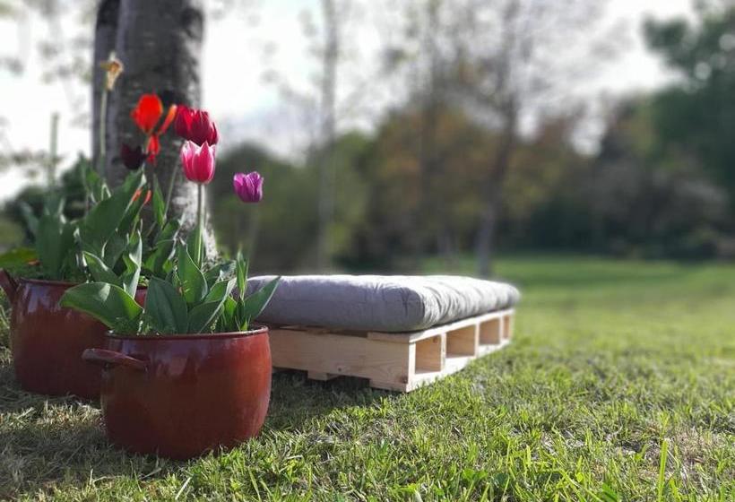 بنسيون Casa Perdigueira