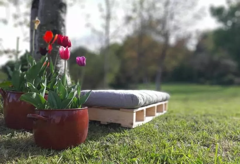 ペンション Casa Perdigueira