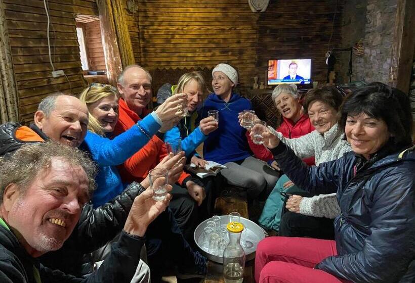 پانسیون Old House