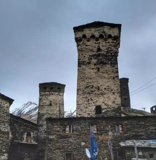 پانسیون Old House