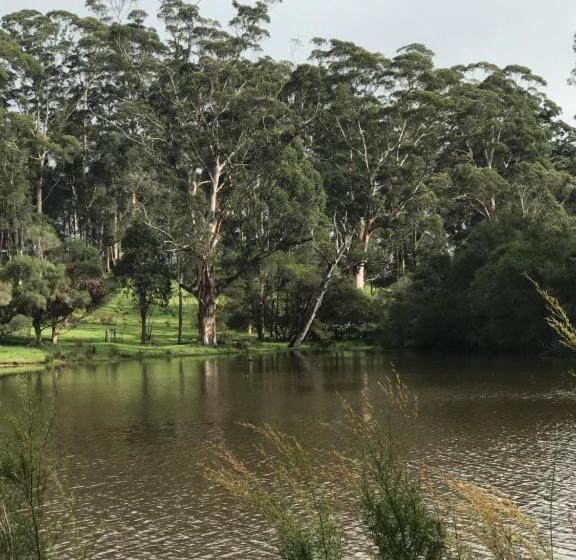 Пансион Scotsdale Farm