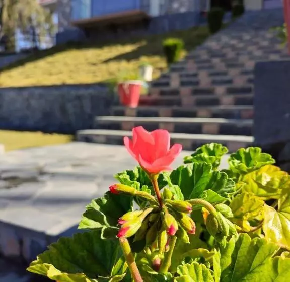 هتل Husnain Resort By Saud Khan